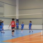 mvolley6